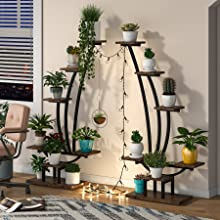 plant stand